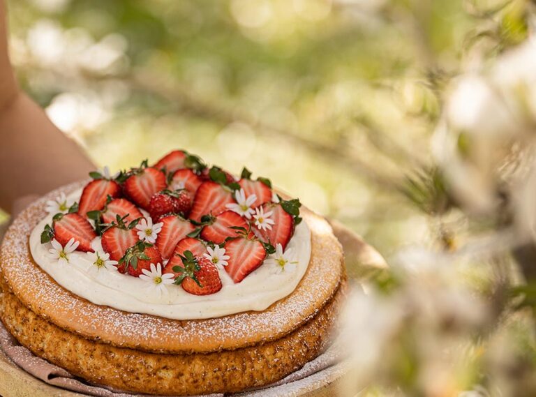 Süße Reistorte mit Holunder-Topfencreme und Erdbeeren