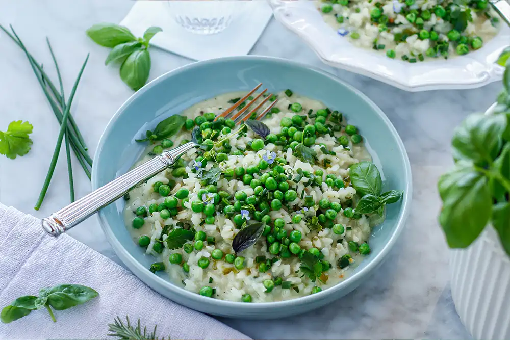 Erbsen-Kräuter Risotto